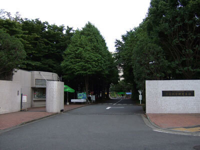 20080807a.jpg