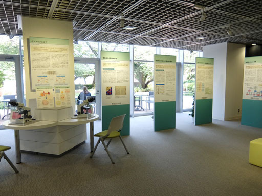 DSCF0247-20140722.jpg