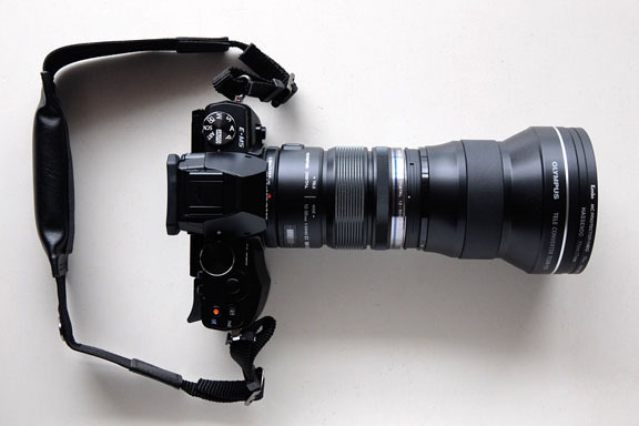 M.ZUIKO DIGITAL ED 12-50mm f3.5-6.3 EZとTCON-17Xの組合せ実験 M.ZUIKO DIGITAL ED 12-50mm f3.5-6.3 EZとTCON-17Xの組合せ実験