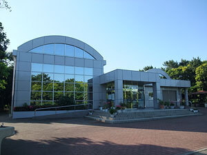 DSCF2531.jpg