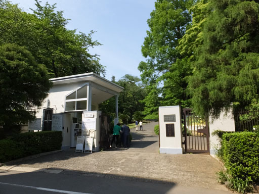 DSCF4203-20150517.jpg