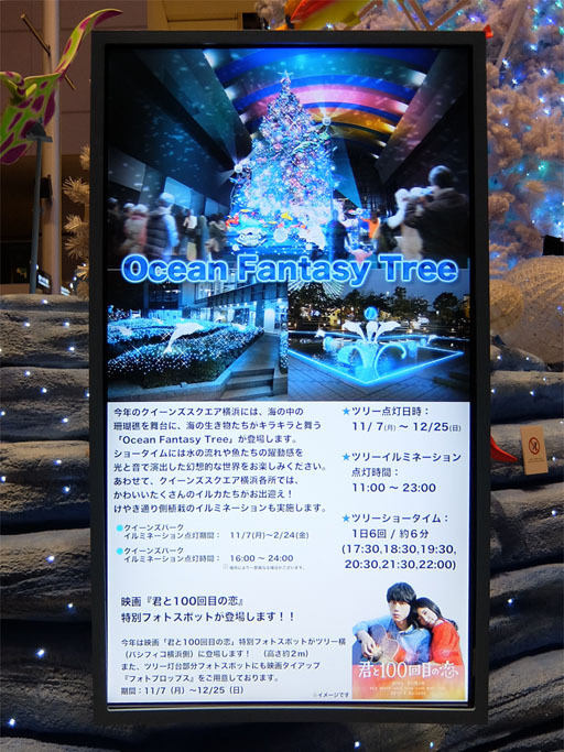 DSCF4406-20161126s.jpg