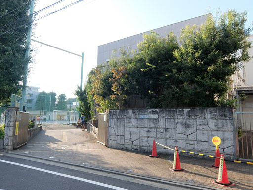 DSCF9204-20161002s.jpg