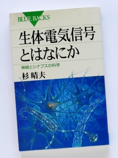 P1000329-20230814s.JPG