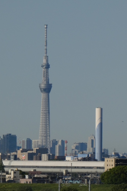 P1000507-20220430s.JPG
