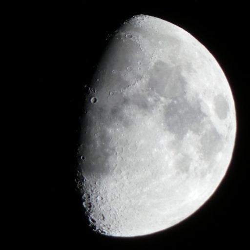 P1030706-20241210s.JPG