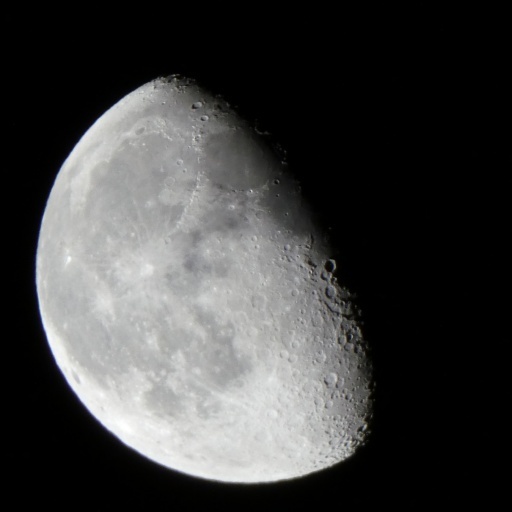 P1030863-20241221s.JPG
