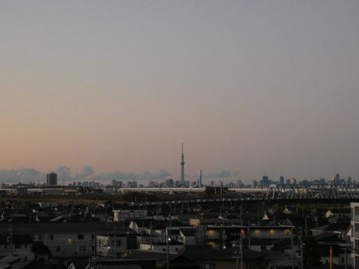 P1030893-20241222s.JPG