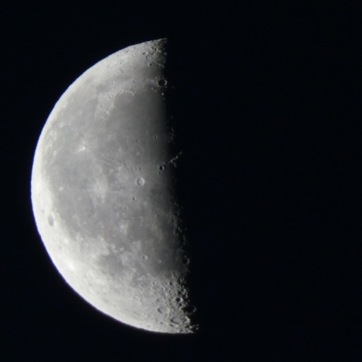 P1040762-20250221s.JPG