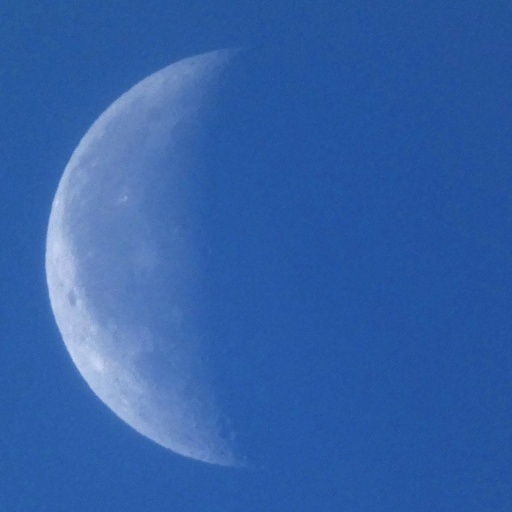 P1040775-20250222s.JPG