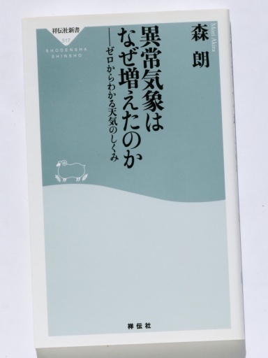 P1111385-20241109s.JPG