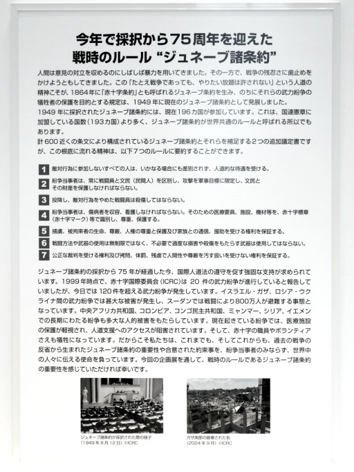 P1123279-20241221s.JPG
