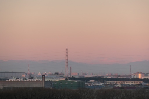 P1123576-20241229s.JPG