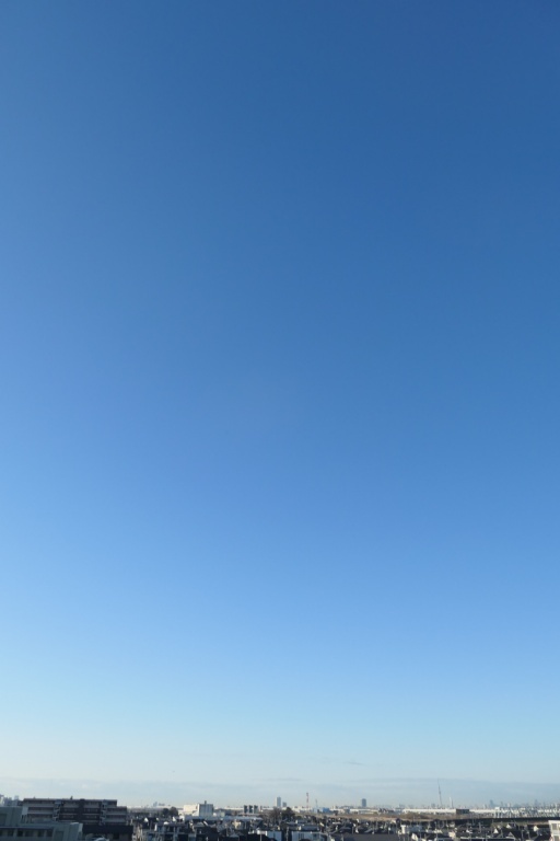 P1124587-20250215s.JPG