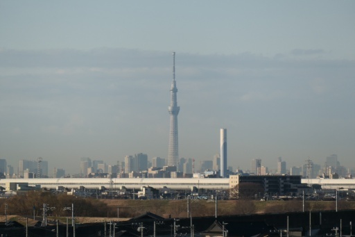P1124589-20250215s.JPG