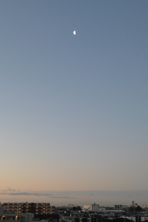 P1134895-20250221s.JPG