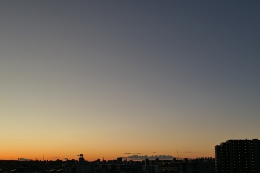P1134897-20250221s.JPG