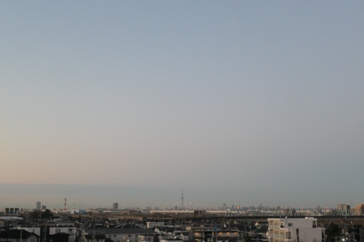 P1134898-20250221s.JPG