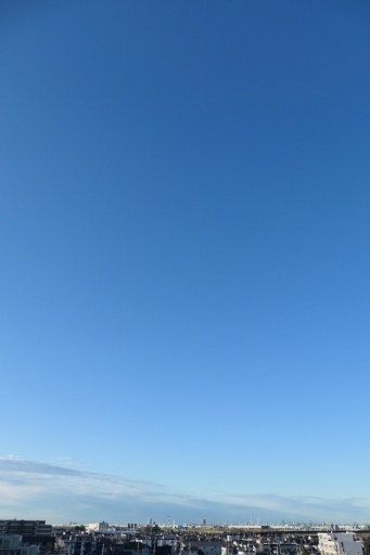 P1135344-20250307s.JPG