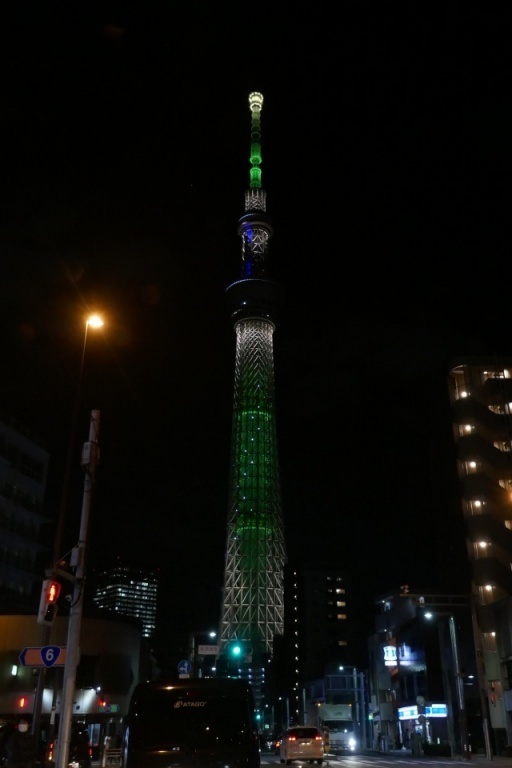 P1250679-20201109m.JPG