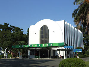 tokai-nhm.jpg