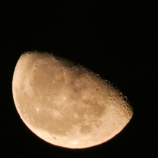 P1040831-20250321s.JPG