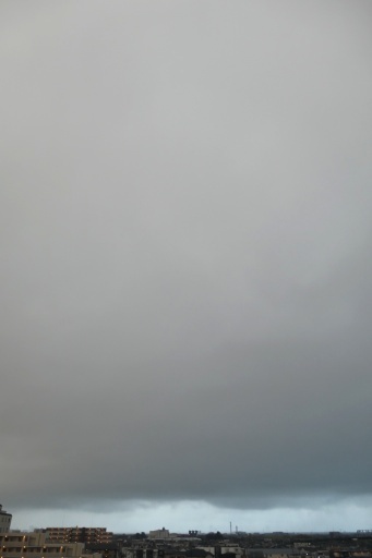 P1145630-20250319s.JPG