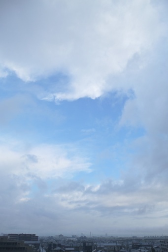 P1145655-20250319s.JPG
